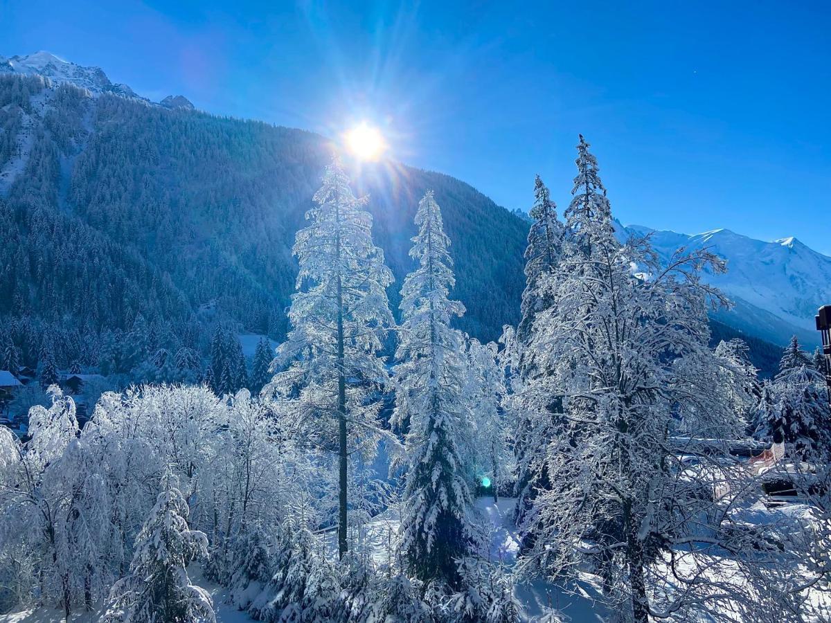 Residence Grand Roc - Kercham Chamonix Buitenkant foto